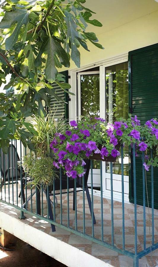 Lav Apartments Herceg Novi Exterior photo